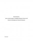 Caso: Las armas de agosto: La estrategia de Alemania y Francia en 1914