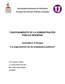 La organizacion de los empleados publicos en México