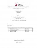 Producto innovador: chimeneas Navideñas