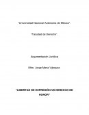 Libertad de expresion vs Derecho al honor