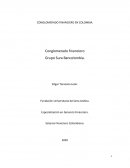 LOS CONGLOMERADOS FINANCIEROS EN COLOMBIA