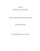 DIDACTICA Y PEDAGOGIA