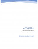 Habilidades Directivas. Ejercicio de observación