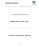 Valores y principios éticos profesionales