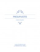 PRESUPUESTO Lámparas de guadua