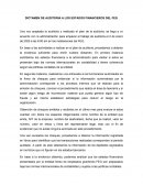 DICTAMEN DE AUDITORIA A LOS ESTADOS FINANCIEROS DEL FEG