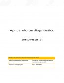 Aplicando un diagnostico empresarial