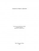 La ingeniería en Colombia y sus aplicaciones