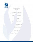 Ingenieria industrial. . Conclusión