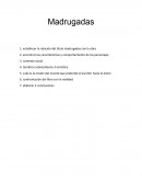 Madrugadas