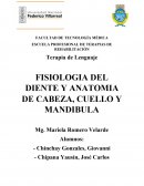 FISIOLOGIA DEL DIENTE Y ANATOMIA DE CABEZA, CUELLO Y MANDIBULA