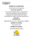 PROYECTO DE APLICACION SALUD OCUPACIONAL Y SEGURIDAD