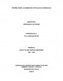 INFORME SOBRE LOS AMBIENTES VIRTUALES DE APRENDIZAJE