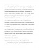 INTELIGENCIA ARTIFICIAL Y BIG DATA