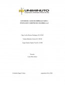 INNOVACION Y DISEÑOS DE COLOMBIA S.A.S