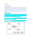 Introducción - Ingeniería