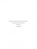 Determinar la estructura organizacional de prevención de riesgos