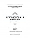 Introduccion a la anatomia