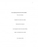 La investigación al interior del contexto familiar