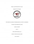 DEBERES Y RESPONSABILIDADES DE LAS PARTES Y SUS ABOGADOS