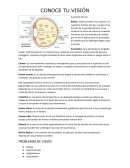 CONOCE TU VISIÓN Anatomía del ojo