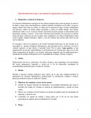 Falta introducción de que es un manual de organización y para qué sirve