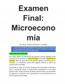 Examen Final: Microeconomía