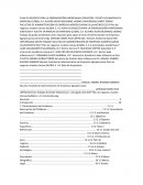 PLAN DE NEGOCIO PARA LA ORGANIZACIÓN EMPRESARIAL