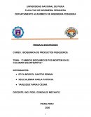 Cambios bioquimicos pos-mortem en el calamar gigante