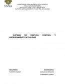 SISTEMA DE GESTION, CONTROL Y ASEGURAMIENTO DE CALIDAD