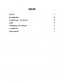 Procesadores de texto son tan importantes