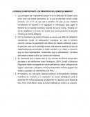 ¿Por que es importante los principios del derecho minero?