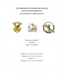 Resumen: Agua y electrolitos