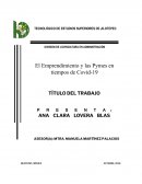 EMPRENDIMIENTO Y LAS PYMES EN TIEMPOS DE COVID-19