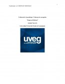 Sistema de corrupción. “Empresa Delicioso”