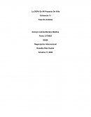 La DOFA en mi proyecto de vida