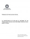 LA IMPORTANCIA DE INCLUIR EL INFORME DE UN TRABAJADOR SOCIAL EN UN INFORME PERICIAL EN EL AMBITO PENAL