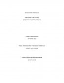 TEORIA ORGANIZACIONAL Y HABILIDADES GERENCIALES