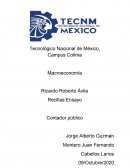 Estrategias económicas para lograr el despego de la economía de México