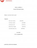 SEGMENTACION DE MERCADO