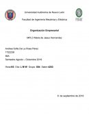 MedioAmbiente-Oganizacional