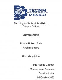 Estrategias económicas para lograr el despego de la economía de México. Página 1