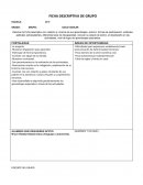 Ficha descriptiva de grupo