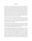 Conclusion informe emprendimiento