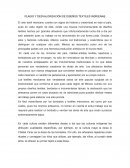 Plagio y desvalorización de los bordados mexicanos