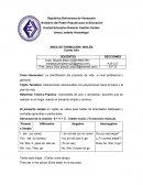 La planificación del proyecto de vida a nivel profesional y personal