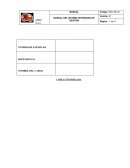 IMPLEMENTACION DE UN SISTEMA DE GESTION, ARIES SAC