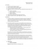 Calculo de Estructuras