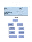 Diseño Organizacional Contemporáneo. Escuela Dos Mundos