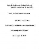 Cocina mediterranea. Elaboración de Platillos Mediterráneos